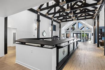 Contemporary lounge 
